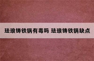 珐琅铸铁锅有毒吗 珐琅铸铁锅缺点